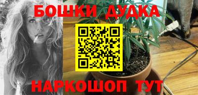 a pvp Аргун