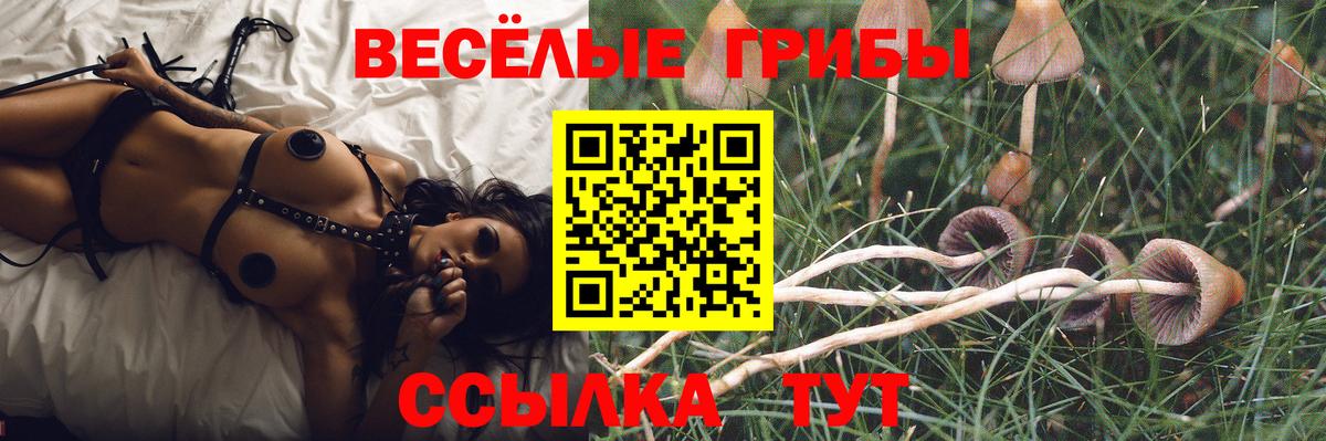 Галлюциногенные грибы Cubensis Белогорск