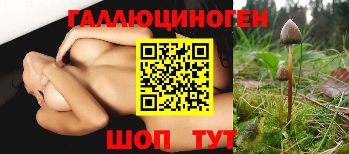 Лсд 25  Вход с VPN  Белогорск  ЭКСТАЗИ  ГАШИШ  Меф   COCAIN  Марихуана 